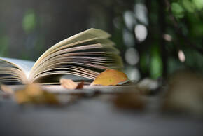 假釋需要對方諒解書嗎