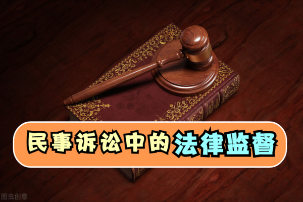 法律監督名詞解釋 法律監督的基本原則