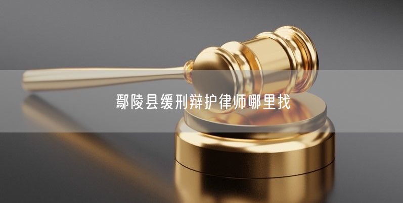 鄢陵縣緩刑辯護(hù)律師哪里找