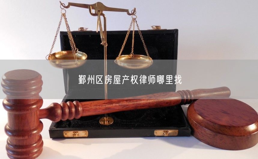 鄞州區房屋產權律師哪里找