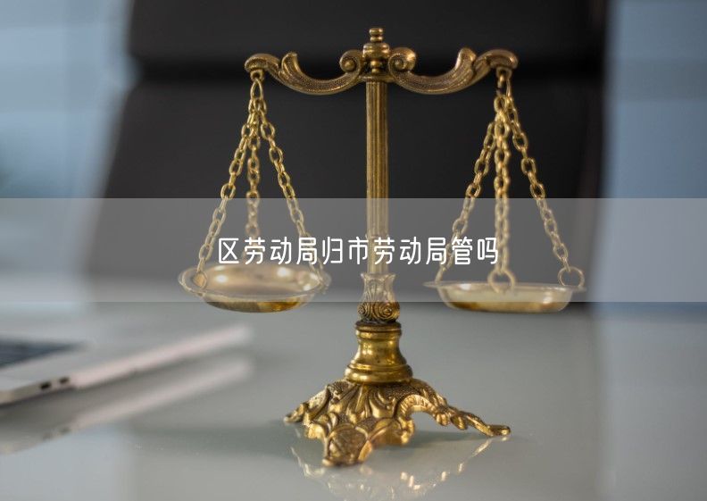 區(qū)勞動(dòng)局歸市勞動(dòng)局管嗎