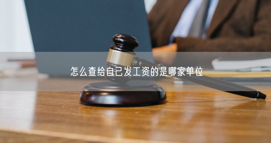 怎么查給自己發工資的是哪家單位