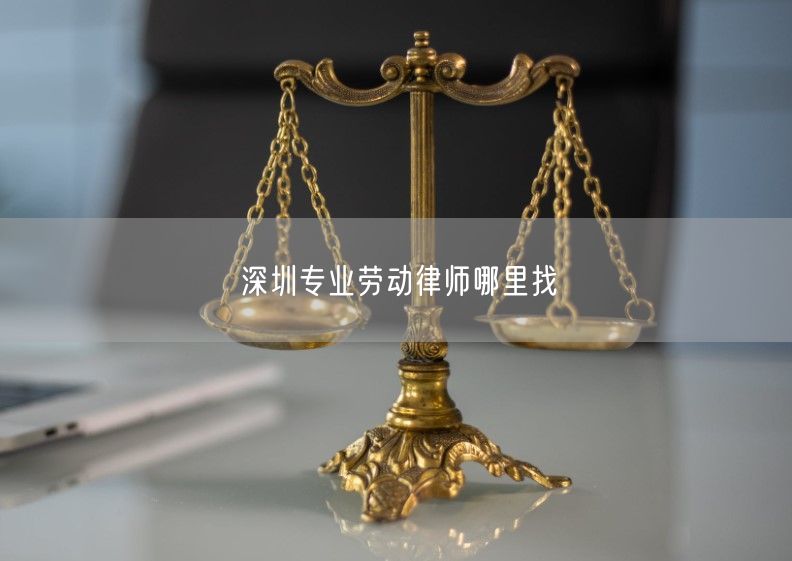深圳專業勞動律師哪里找